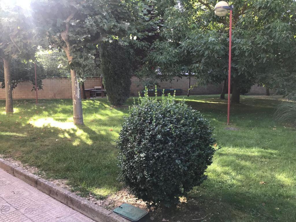 הוסטל Burgo Residencia Hospital Del Rey מראה חיצוני תמונה